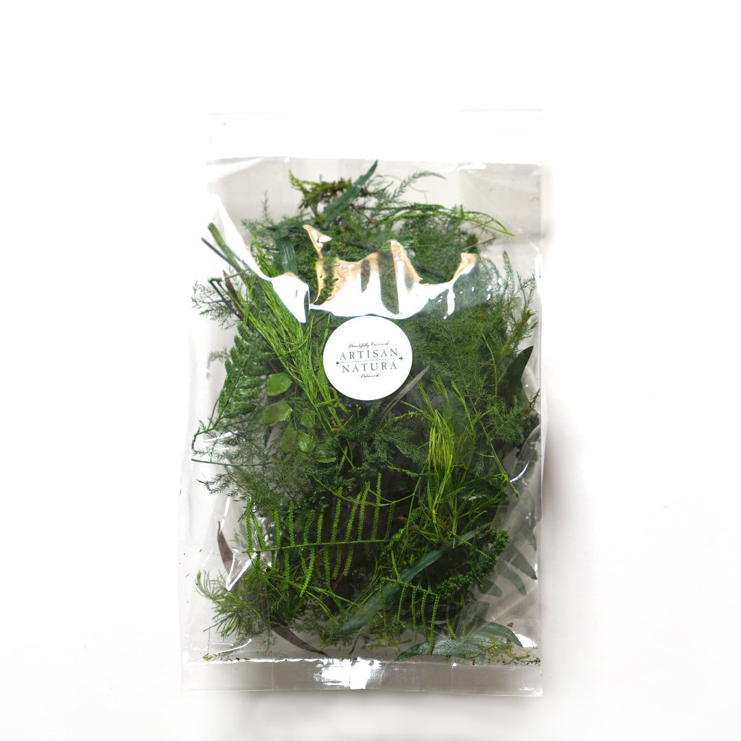 Mixed Fern Bag Small Imperfect Pieces