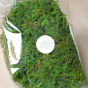 Special! Loose Forest Moss Bag