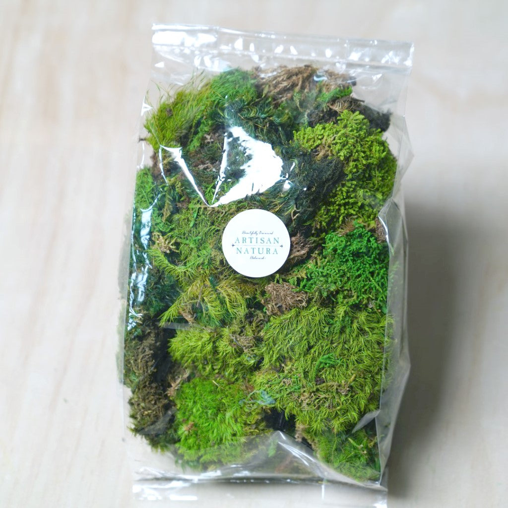 Crafter's Mixed Mosses Moss Clump Bag