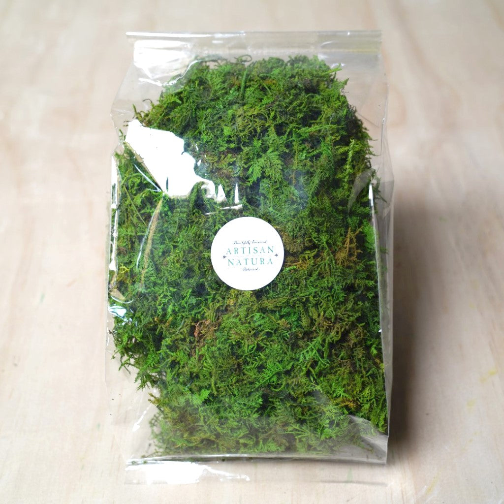 Dried Sheet Moss - Bulk Box Sheet Moss