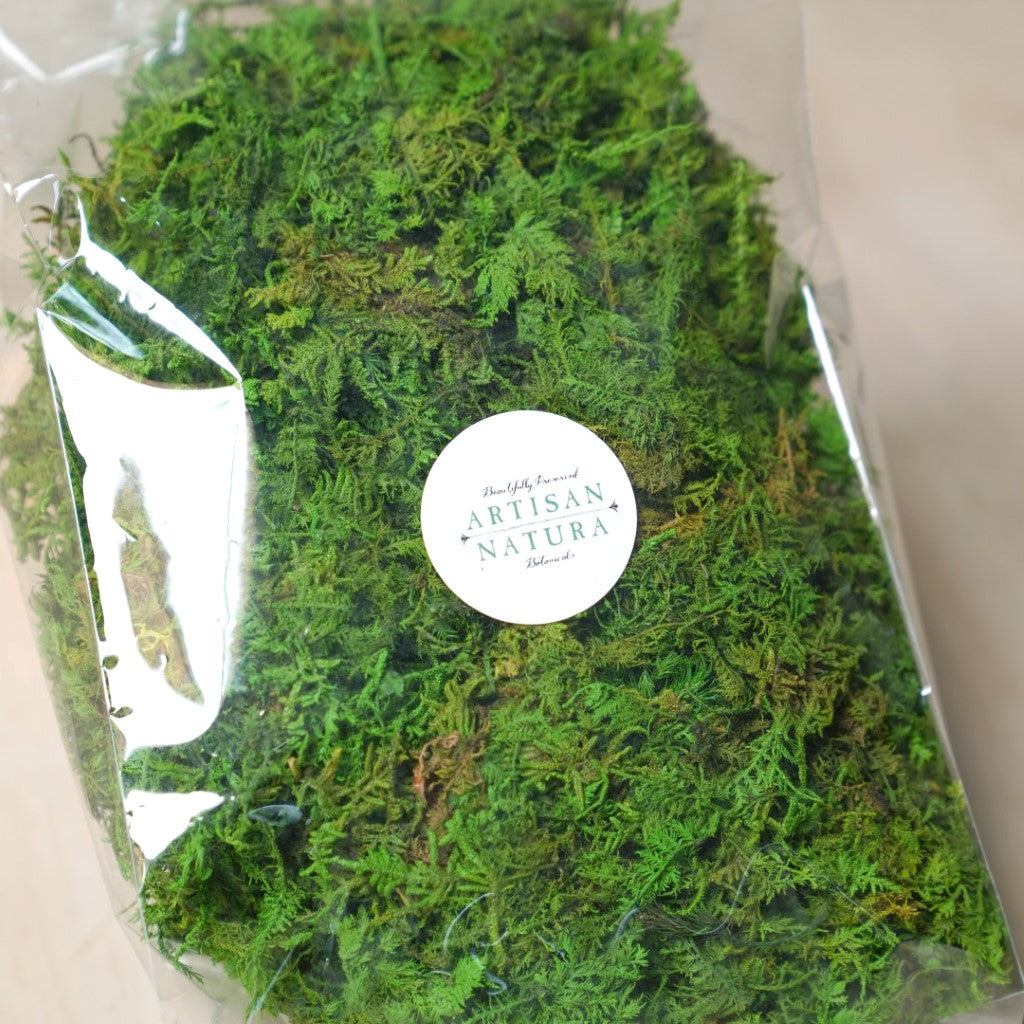 Special! Loose Forest Moss Bag
